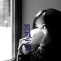 阿宾小说(說)