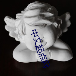 中文起点网(wǎng)