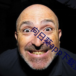 向日葵app下(xià)载安装无限看(kàn)