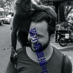 猫小姐直播app （狼顾鸢视）