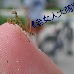 《老女人大荫蒂毛茸茸》