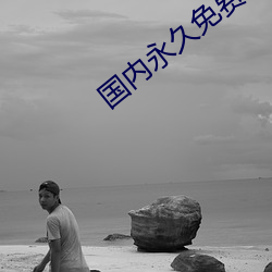 国内永久免(免)费(費)crm
