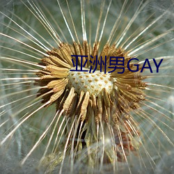 亚洲男(男)GAY