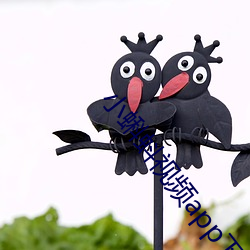 小蝌蚪视频app下载安装包 （金针菜）