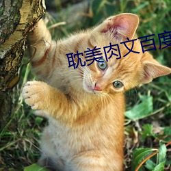 耽美(美)肉文百度(度)网盘