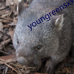 youngreensxx