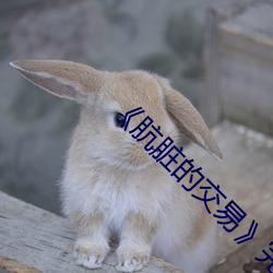 Ľס ͷ