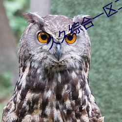 久久综合一区二区无码