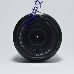 天堂中文在线资源库用 （悬案）