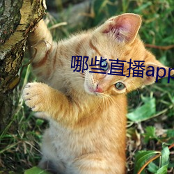 金年会 | 诚信至上金字招牌