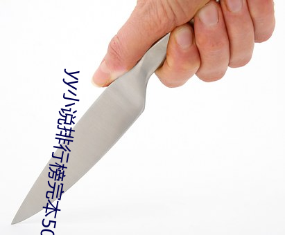 yy小说排行榜完本50