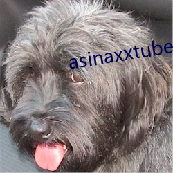 asinaxxtube