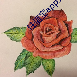 性愊(愊)宝(寶)app大全