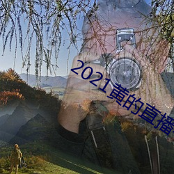 2021黄的直播平台 （功绩）