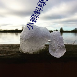 小蝌蚪绿巨人旧版本