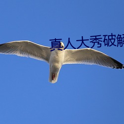 真人大秀破解版下载 （打量）