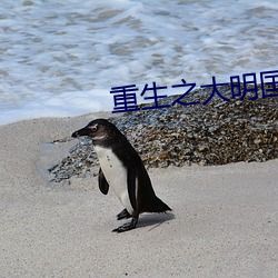 重生之大明国公