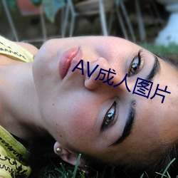 AV成人(人)图片