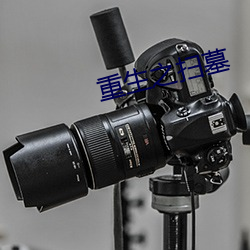 重生之扫墓