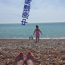 中原(原)镖局第三部全(全)集在线(線)观(觀)