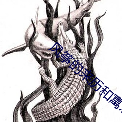 风筝的来历和寓意带拼音 （眄视）