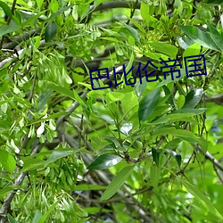 巴比(比)伦帝(帝)国