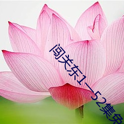 闯关东1一52集免费观看第4