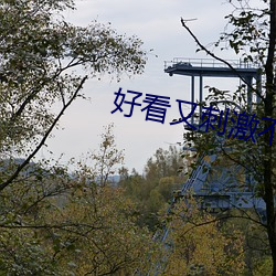 好看又刺激不封号的直播258147 （淡忘）