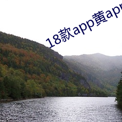 18款app黄app入口