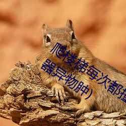 爬樓梯每次都撞到最裏面(writeas兩根性器異物腫)