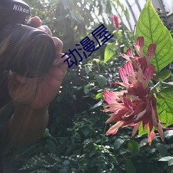 凯时|AG(AsiaGaming)优质运营商
