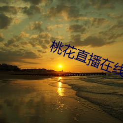 桃(桃)花(花)直(直)播在线(線)下载