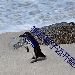 挽起(起)裙子迈开腿坐上去的图片资源可以(以)随机观看(看)