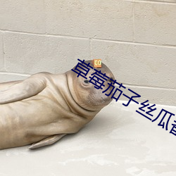 草莓茄子丝瓜番茄小蝌蚪