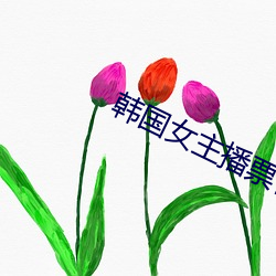 韩国(國)女主播票你买