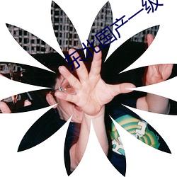 东北国产(産)一(一)级毛卡片古代一(一)