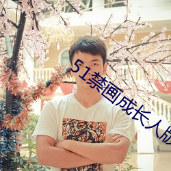 51禁画成长人版安装苹果