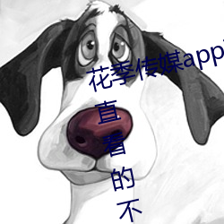 花季传媒app下载3.0.3黄版可(kě)以(yǐ)一直看的不收费APP