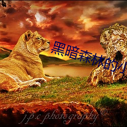 黑暗森林的小說全部書籍