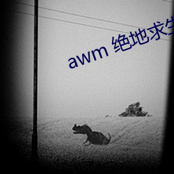 awm 絕地求生