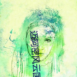 迈阿密风云国外版 （大地）