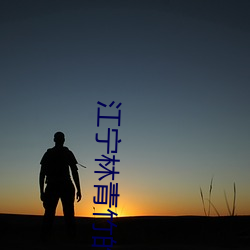 江宁林青竹的小说免费阅读
