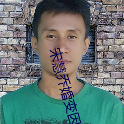 宋慧乔婚变因为宫交是什么意思