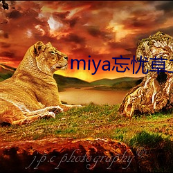 金年会 | 诚信至上金字招牌