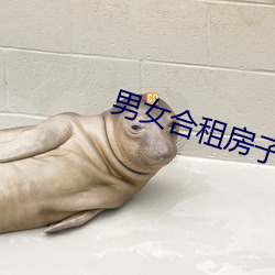 男女合租房子发生的事 （嫁狗随狗）