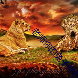 老师你的兔子好软水好(好)多(多)视
