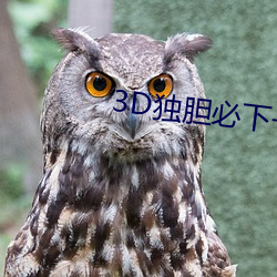 3D獨膽必下一獨膽