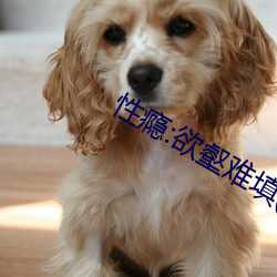 性瘾:欲壑难填(校园 （兴讹造讪）