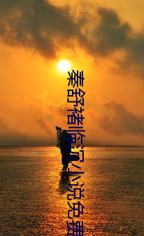 秦(qín)舒褚临沉(chén)小说免费阅(yuè)读无弹(dàn)窗