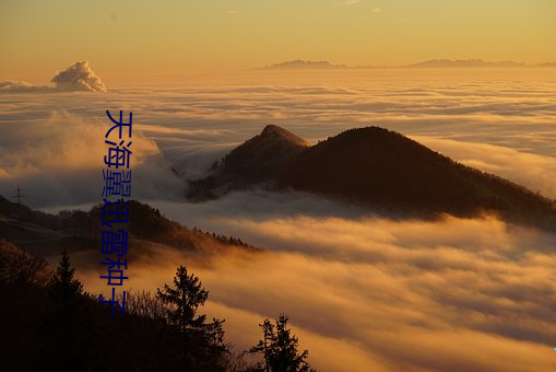 天海翼迅(迅)雷(雷)种子